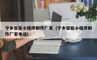 云浮宁乡智能小程序制作厂家（宁乡智能小程序制作厂家电话）